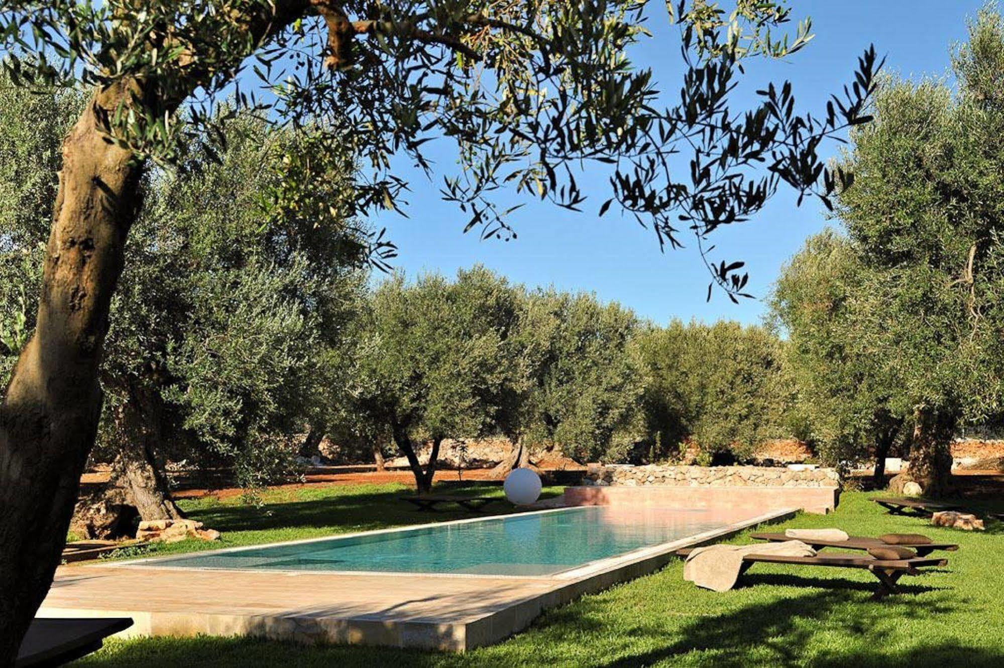 מורצ'יאנו די לאוקה Masseria Piccapicca מראה חיצוני תמונה